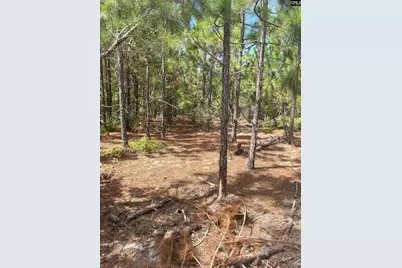 Ppf 14 Payne Pond Road Ppf 14, Westville, SC 29175 - Photo 6