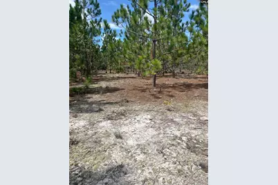 Ppf 14 Payne Pond Road Ppf 14, Westville, SC 29175 - Photo 1