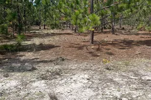 Ppf 14 Payne Pond Road Ppf 14, Westville, SC 29175 - Photo 1