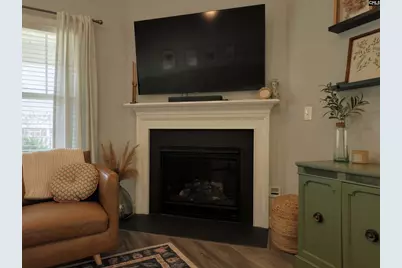 53 Starry Night Court, Chapin, SC 29036 - Photo 18