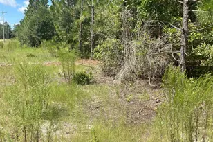 Ppf 17 Payne Pond Road Ppf 17, Westville, SC 29175 - Photo 1