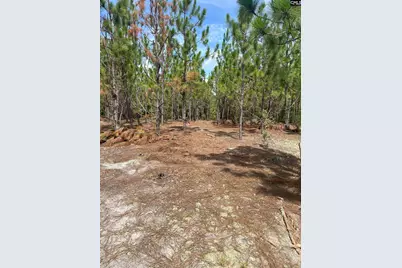 Ppf 17 Payne Pond Road Ppf 17, Westville, SC 29175 - Photo 10