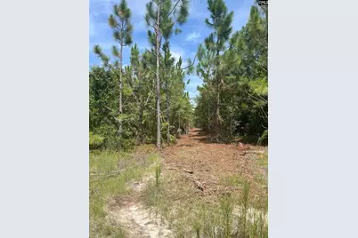 Ppf 17 Payne Pond Road Ppf 17, Westville, SC 29175 - Photo 6