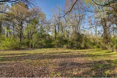 337 Chapelwhite Road, Irmo, SC 29063 - Photo 12