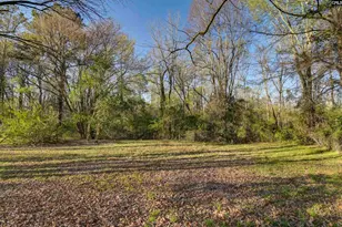 337 Chapelwhite Rd, Irmo, SC 29063 - Photo 12