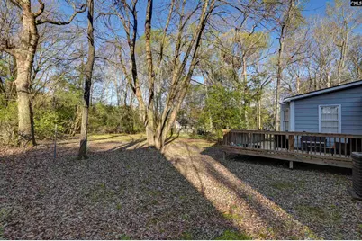 337 Chapelwhite Road, Irmo, SC 29063 - Photo 14