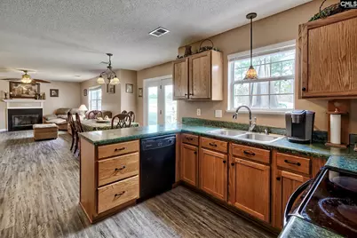 133 Dutch Court, Lexington, SC 29073 - Photo 16