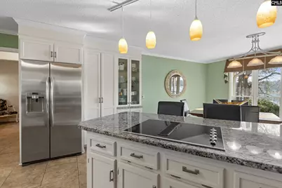115 Rocky Ridge Road, Leesville, SC 29070 - Photo 14