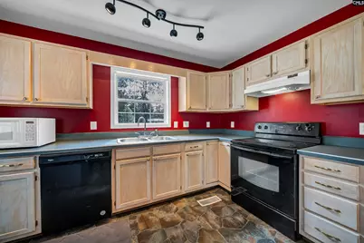 233 Drawdebil Court, Gilbert, SC 29054 - Photo 10