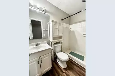 2341 Rolling Hills Road, Columbia, SC 29210 - Photo 6