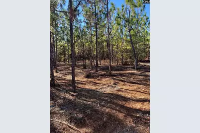 Ppf 18 Payne Pond Road Ppf 18, Westville, SC 29175 - Photo 18