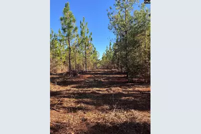 Ppf 18 Payne Pond Road Ppf 18, Westville, SC 29175 - Photo 16