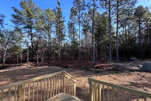779 Thor Rd, Pelion, SC 29123 - Photo 6