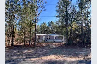 779 Thor Road, Pelion, SC 29123 - Photo 2