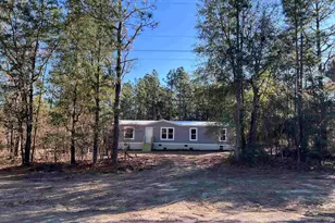 779 Thor Rd, Pelion, SC 29123 - Photo 2