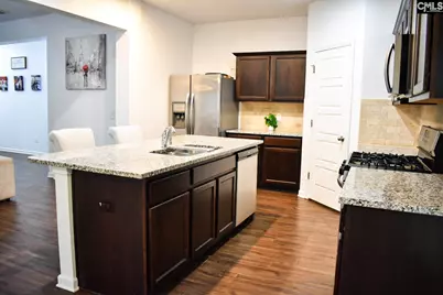 240 Bickley View Court, Chapin, SC 29036 - Photo 6