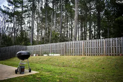 240 Bickley View Court, Chapin, SC 29036 - Photo 18