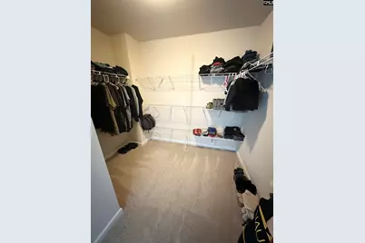 240 Bickley View Court, Chapin, SC 29036 - Photo 12