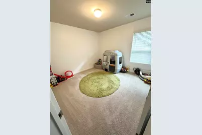 240 Bickley View Court, Chapin, SC 29036 - Photo 16