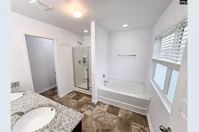 240 Bickley View Court, Chapin, SC 29036 - Photo 10