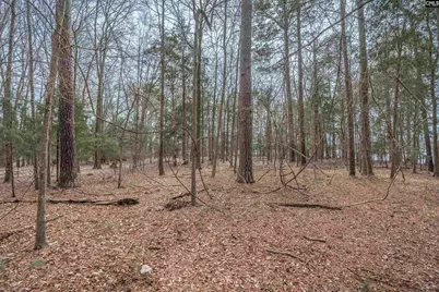 00 Circle H Woods Road, Prosperity, SC 29127 - Photo 18