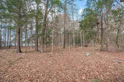 00 Circle H Woods Road, Prosperity, SC 29127 - Photo 24