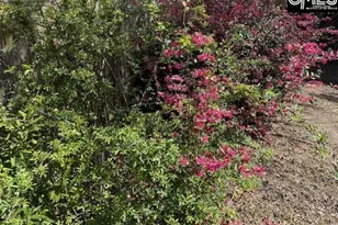 34 Founders Lake Ct, Columbia, SC 29229 - Photo 32