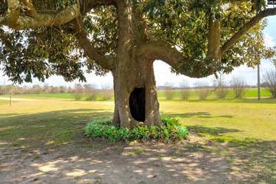 1404 Dog Island Rd, Bishopville, SC 29010 - Photo 14