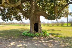 1404 Dog Island Rd, Bishopville, SC 29010 - Photo 14