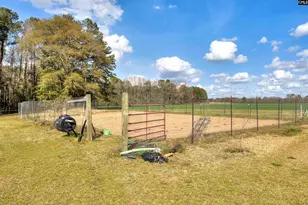 1404 Dog Island Rd, Bishopville, SC 29010 - Photo 20
