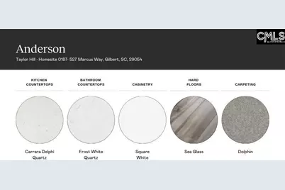 762 Ben Gunn Run, Gilbert, SC 29054 - Photo 4