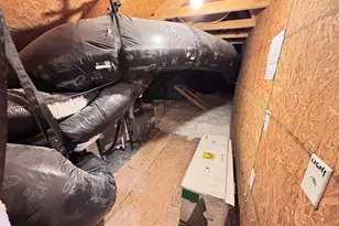 189 Windfall Rd, Blythewood, SC 29016 - Photo 28