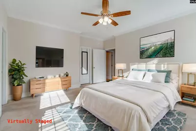 141 Palm Street, Chapin, SC 29036 - Photo 18