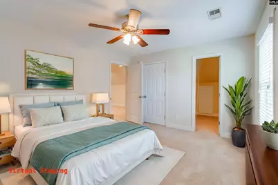 141 Palm Street, Chapin, SC 29036 - Photo 30