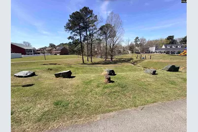 141 Palm Street, Chapin, SC 29036 - Photo 48