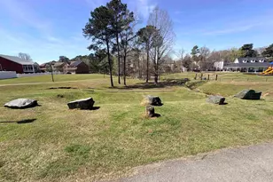 141 Palm St, Chapin, SC 29036 - Photo 48