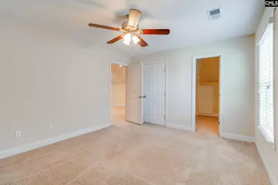 141 Palm Street, Chapin, SC 29036 - Photo 32