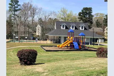 141 Palm Street, Chapin, SC 29036 - Photo 46