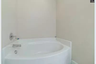 141 Palm Street, Chapin, SC 29036 - Photo 22