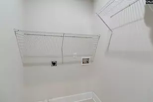 141 Palm St, Chapin, SC 29036 - Photo 40