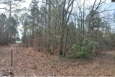 4533 Calks Ferry Road, Leesville, SC 29070 - Photo 84