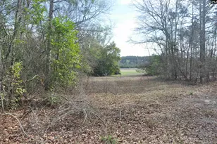 4533 Calks Ferry Rd, Leesville, SC 29070 - Photo 88