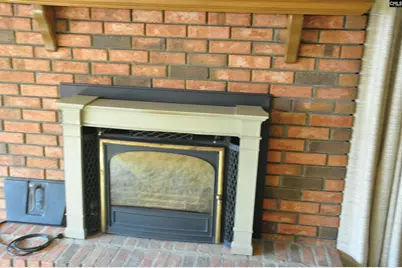 4533 Calks Ferry Road, Leesville, SC 29070 - Photo 82