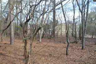 4533 Calks Ferry Rd, Leesville, SC 29070 - Photo 86