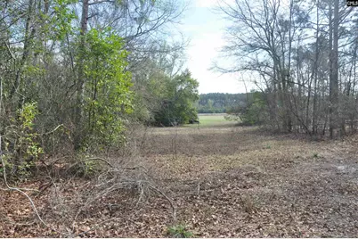 4533 Calks Ferry Road 1, Leesville, SC 29070 - Photo 88