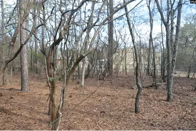 4533 Calks Ferry Road 1, Leesville, SC 29070 - Photo 86