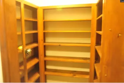 4533 Calks Ferry Road 1, Leesville, SC 29070 - Photo 54