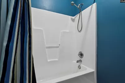 302 Lookout Hill Drive, Chapin, SC 29036 - Photo 24