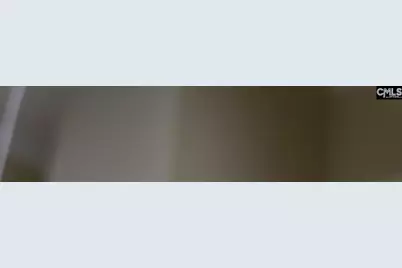 7029 Sprott Street, Columbia, SC 29223 - Photo 10