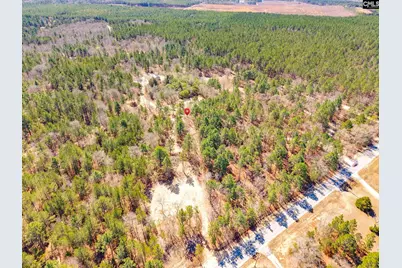 1397 Robinson Town Road, Cassatt, SC 29032 - Photo 6